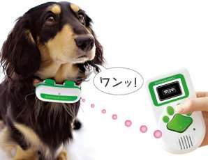 36 Creative Pet Collars