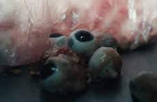 Fleshy Visceral Photography