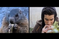 Animal-Impersonating Music Videos Image 2