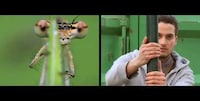 Animal-Impersonating Music Videos Image 5