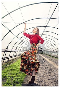 Vibrant Greenhouse Photography Image 4