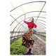 Vibrant Greenhouse Photography Image 4