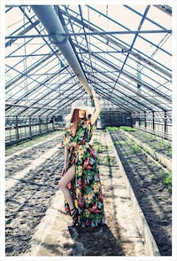 Vibrant Greenhouse Photography Image 6