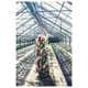Vibrant Greenhouse Photography Image 6