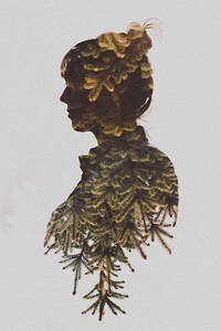 Multiple Exposure Floral Photography Image 4