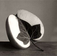 Re-Imagined Everyday Objects (UPDATE) Image 3