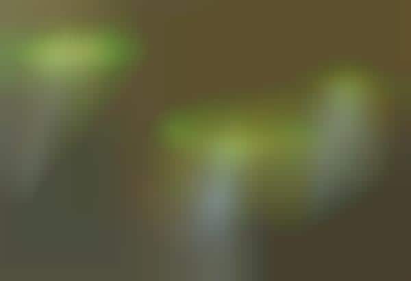 Illuminating Glass Furniture