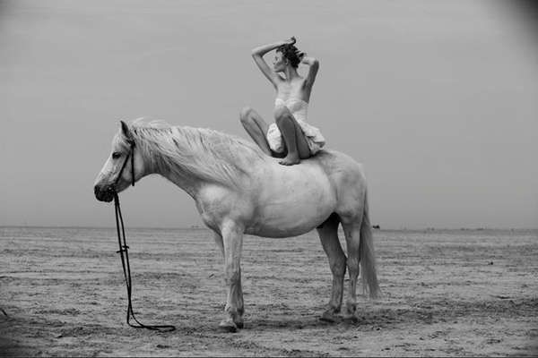23 Equestrian Photo Shoots