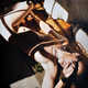 Suggestive Shadowy Portraits Image 3