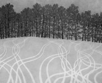 Surreal Graphite Scenery Image 6