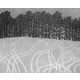Surreal Graphite Scenery Image 6