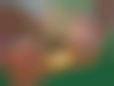 Soft iMac and Powerbook Covers