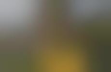 270 Degree Camera