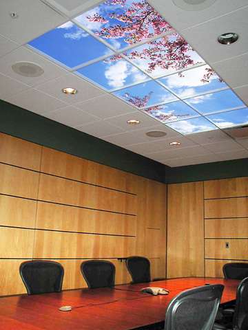 Sky Ceilings
