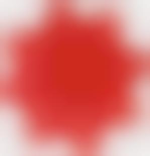 Bloom Cards