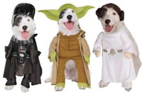 Pet Costumes
