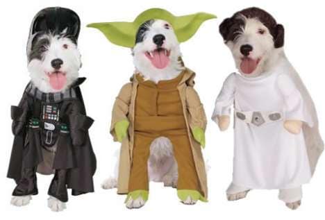 Pet Costumes