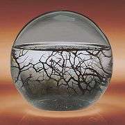 EcoSphere