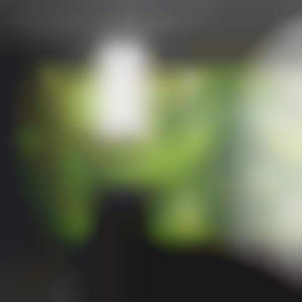 Virtual Forest
