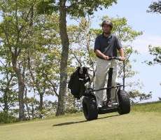 Miniature Golf Carts