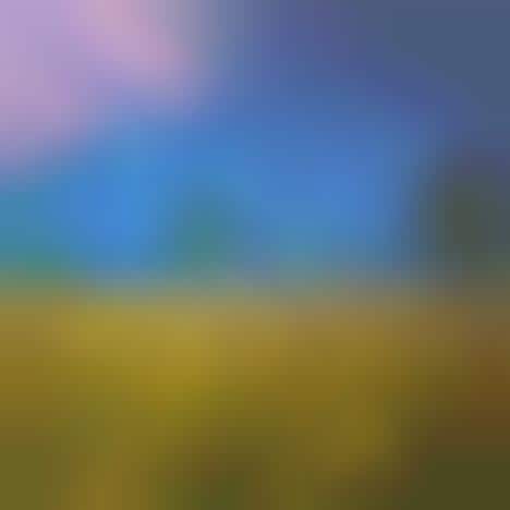 Camouflaging City Blocks