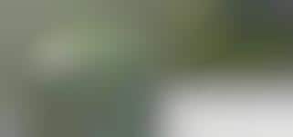 Radio Video-Waves