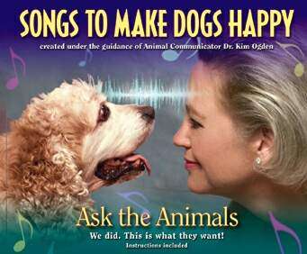 Musical CD Scientifically Designed For Dogs