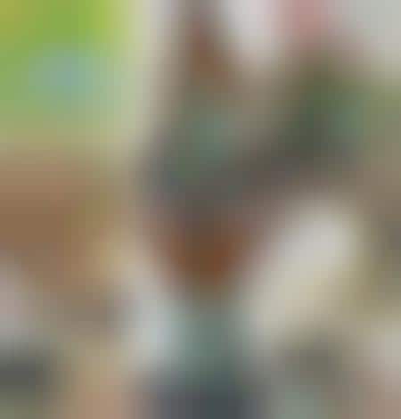 Pattern Collection by Amy Butler