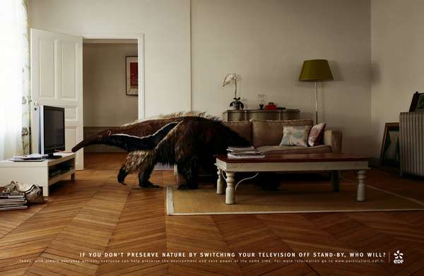 If You Don't Preserve Nature, Who Will? Unique Ads