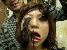 Long False Eyelashes