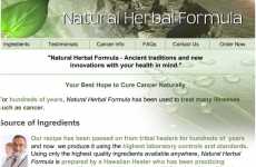 Fake Websites 2 