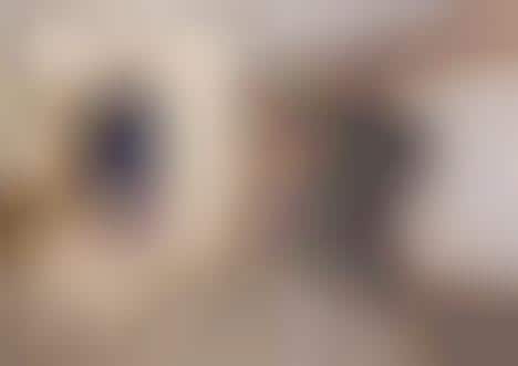 Cross-Dressing Fashion Ads