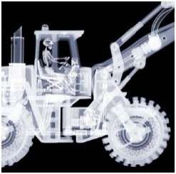 X-Ray Art