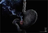 Lungs Made of Cigarettes Image 2