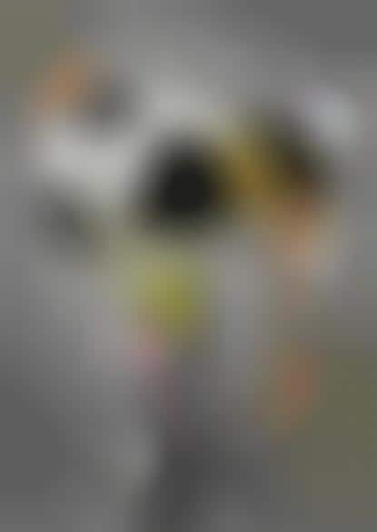 Global Artists to Watch