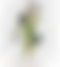 Celebrity Action Figures Image 1