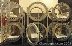 Oxygen Spas for Dogs (and Owners)