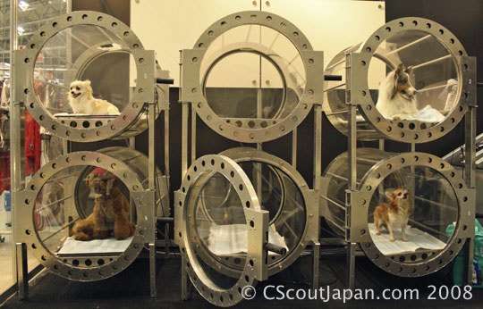 Oxygen Spas for Dogs (and Owners)