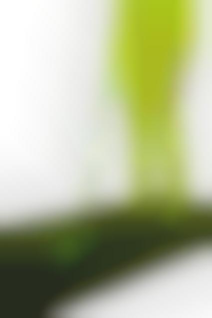 Measuring the "Greeness" of Lawns