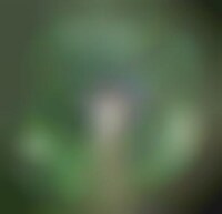 Hedonistic Eco Nightclubs (UPDATE) Image 1