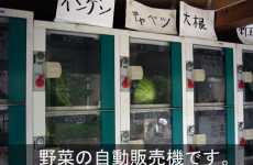 Vegetable Vending Machines