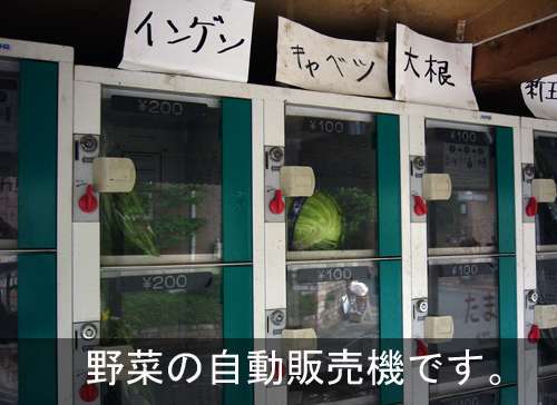 Vegetable Vending Machines