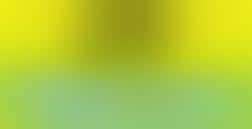 Inviting Customers to Report on Fashion