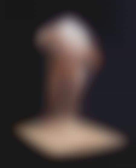 Plucked Chickens Made of Wool