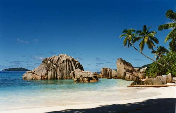28 Tropical Ideas 