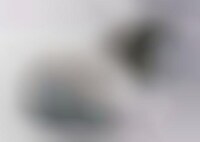 Geeky Soap Image 1