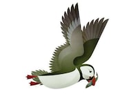 Paper-Like Bird Illustrations Image 3
