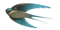Paper-Like Bird Illustrations Image 4
