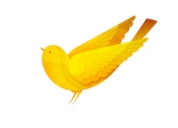 Paper-Like Bird Illustrations Image 8