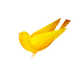 Paper-Like Bird Illustrations Image 8